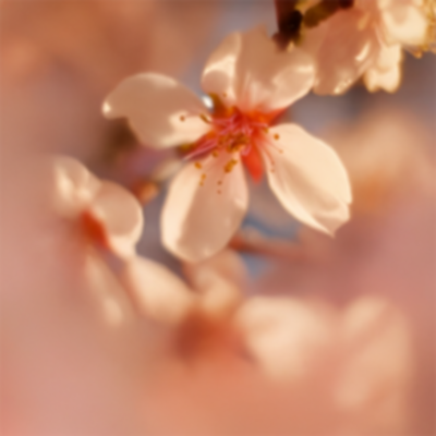 Fiji Blossom